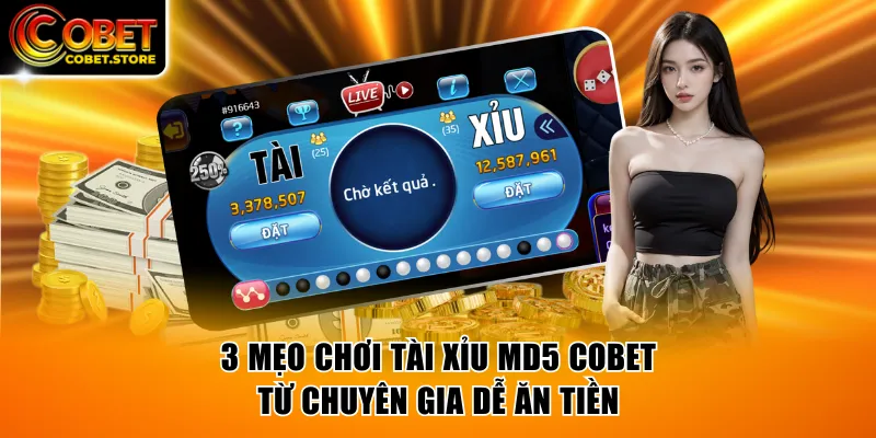 3 Mẹo Chơi Tài Xỉu MD5 COBET Từ Chuyên Gia Dễ Ăn Tiền