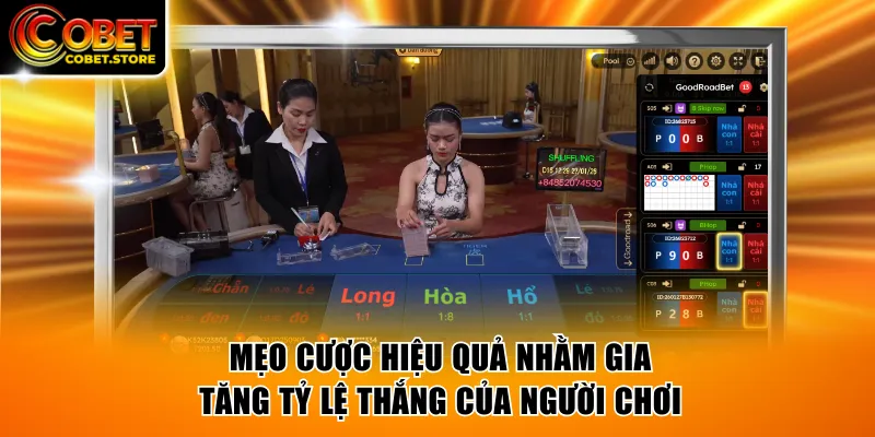Mẹo cược hiệu quả nhằm gia tăng tỷ lệ thắng của người chơi