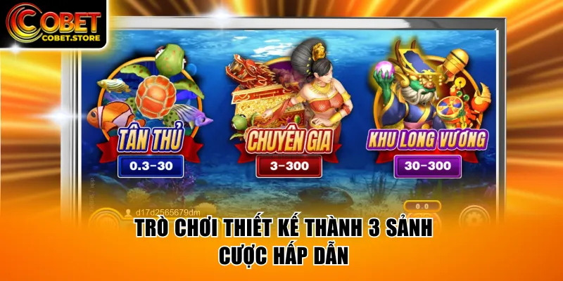 Trò chơi thiết kế thành 3 sảnh cược hấp dẫn